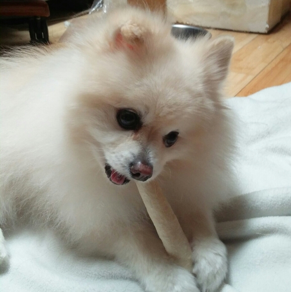 Meet your Posher, Lien - Picture 1 of 1